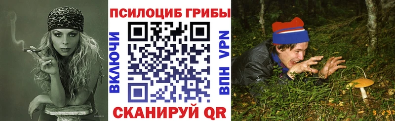 Псилоцибиновые грибы Cubensis  Верхняя Салда 